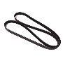 Serpentine Belt